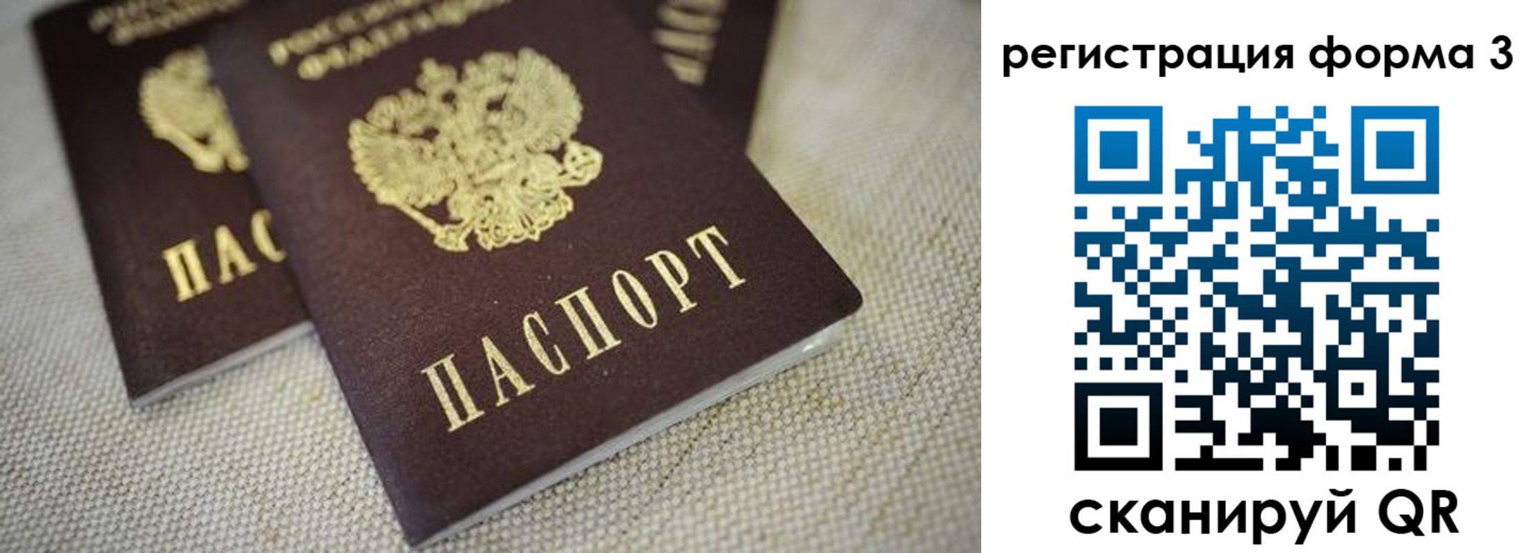 временная регистрация надежно в Михайловске